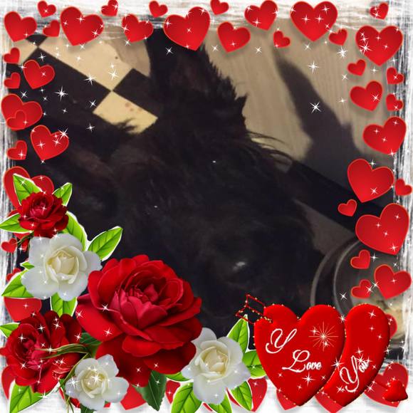 Meet your Posher, Randy - Picture 1 of 1